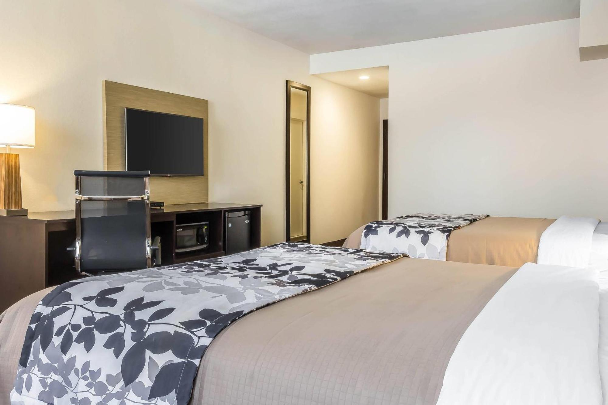 Queen Room Two Queen Beds Non Smoking
